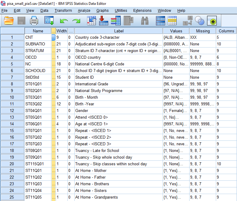 spss_view.png